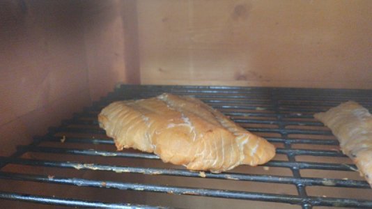 IMG_20220709_162619_148.jpg IMG_20220709_162619_148.jpg