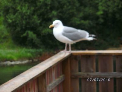 Den Sechstigsten auf Bomlo 2010 047 - Kopie.JPG