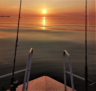 1657021550365 (002).jpg