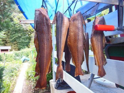 DSCN2710.JPG DSCN2710.JPG