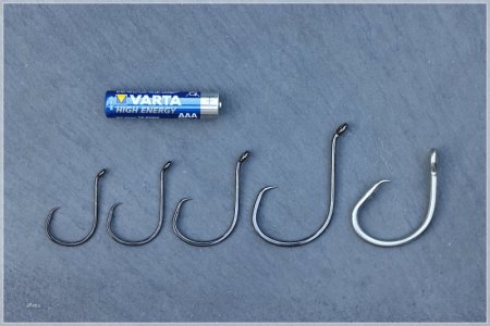 C85A1010.comp.jpg C85A1010.comp.jpg