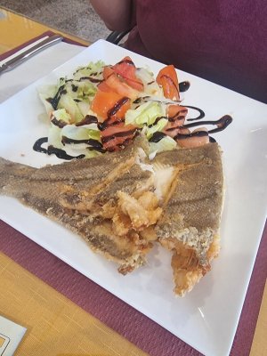 20220730_140128.jpg 20220730_140128.jpg