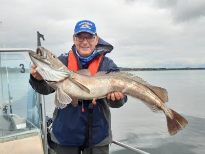 4A697667-15ED-4001-A052-04B263E1387C.jpeg 4A697667-15ED-4001-A052-04B263E1387C.jpeg