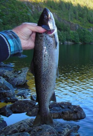 DSCN3088.JPG