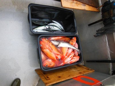 DSCN3109.JPG