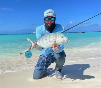 WhatsApp Image 2022-07-30 at 09.46.54.jpeg