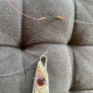 IMG_5844.jpeg IMG_5844.jpeg