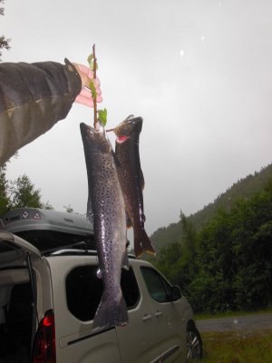 DSCN3155.JPG