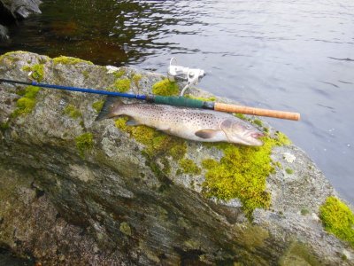 DSCN3165.JPG