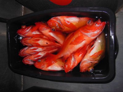 DSCN3240.JPG