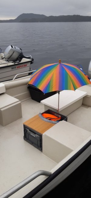 20220809_095411.jpg