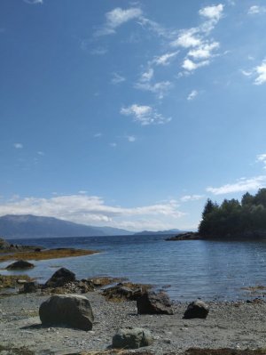 IMG-20220810-WA0014.jpg
