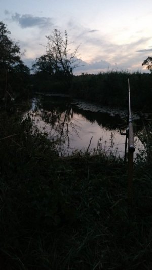 IMG-20220814-WA0019.jpg IMG-20220814-WA0019.jpg