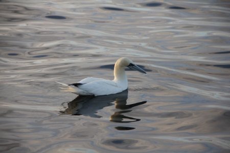 IMG_1819.JPG
