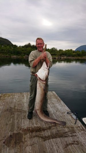 IMG-20220816-WA0002.jpg IMG-20220816-WA0002.jpg