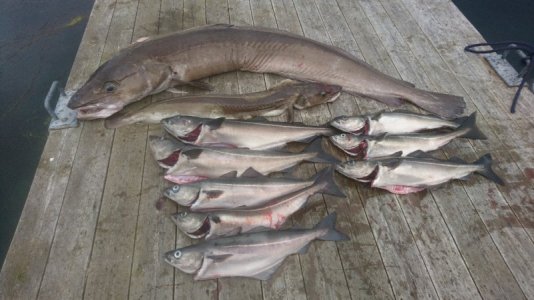 DSC_6001.JPG DSC_6001.JPG