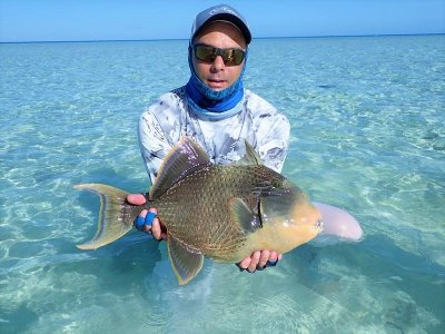 WhatsApp Image 2022-08-17 at 16.51.18.jpeg