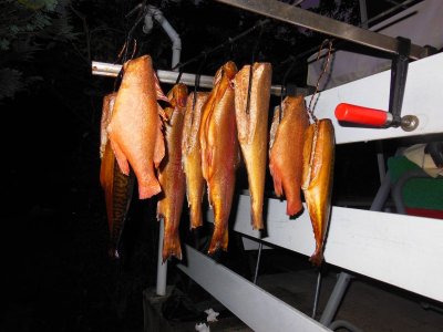 DSCN3466.JPG DSCN3466.JPG