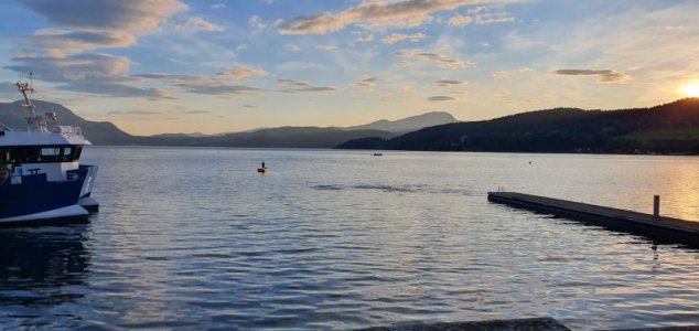 20210728_212826.jpeg 20210728_212826.jpeg