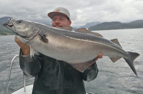 IMG_20220812_131241.jpg IMG_20220812_131241.jpg