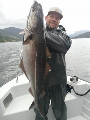 IMG_20220803_165028.jpg IMG_20220803_165028.jpg