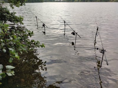 IMG_20220825_084318.jpg IMG_20220825_084318.jpg