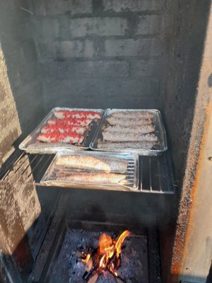 20210826_195527.jpg 20210826_195527.jpg