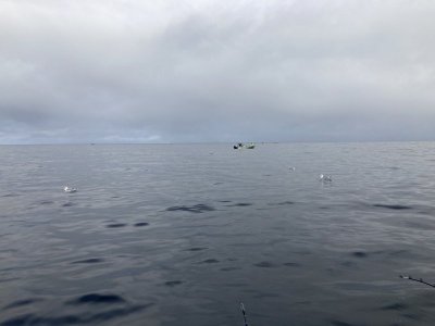 45505051-1EA3-4083-BCE2-AEC5A4CCEF03.jpeg