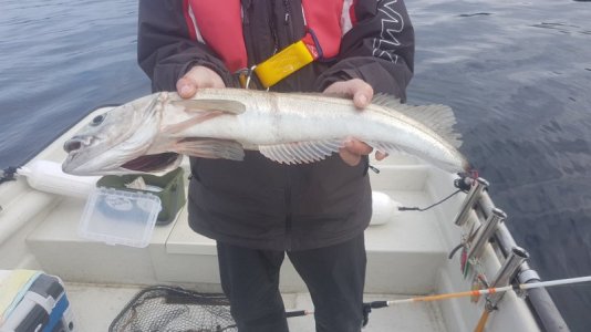 20220902_103420.jpg 20220902_103420.jpg