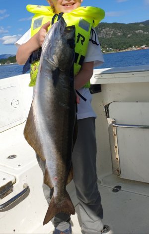 20220903_202836.jpg 20220903_202836.jpg