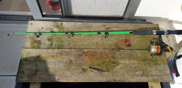 20220903_143103.jpg 20220903_143103.jpg