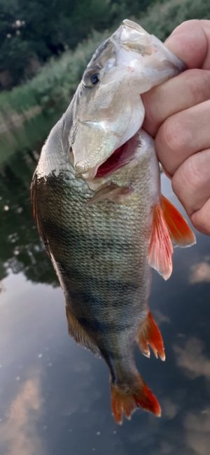 20220903_193127.jpg 20220903_193127.jpg