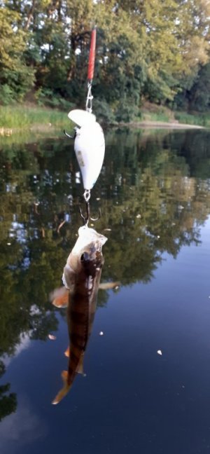 20220903_185958.jpg 20220903_185958.jpg