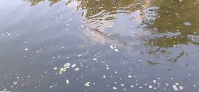 20220903_185505.jpg 20220903_185505.jpg