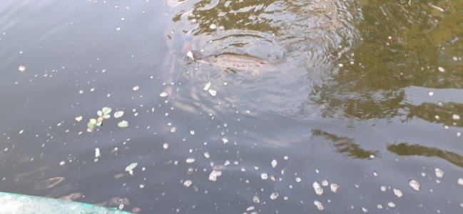 20220903_185503.jpg 20220903_185503.jpg