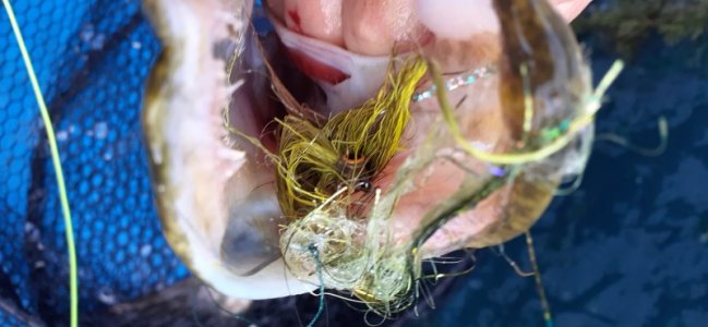 20220903_182635.jpg 20220903_182635.jpg