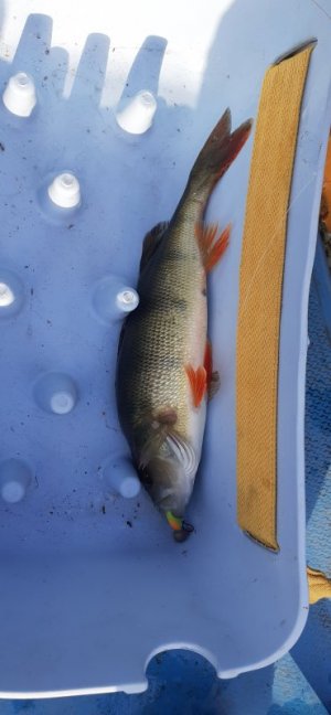 20220903_174312.jpg 20220903_174312.jpg