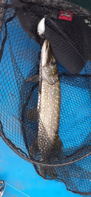 20220903_172604.jpg 20220903_172604.jpg