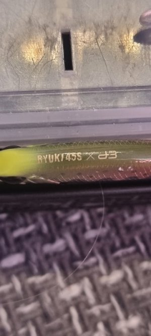 20220904_141639.jpg