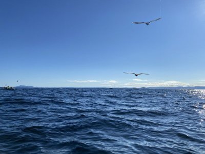 643AFF0D-8202-47B1-B355-DFDD44F05F21.jpeg
