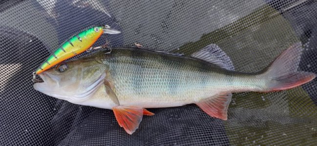 20220904_135027.jpg 20220904_135027.jpg