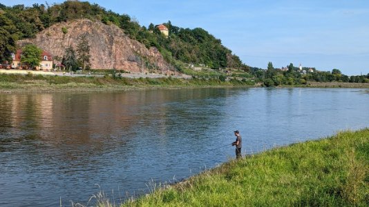 PXL_20220904_133101378.jpg PXL_20220904_133101378.jpg