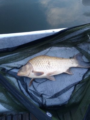 IMG_20220909_191356503.jpg IMG_20220909_191356503.jpg