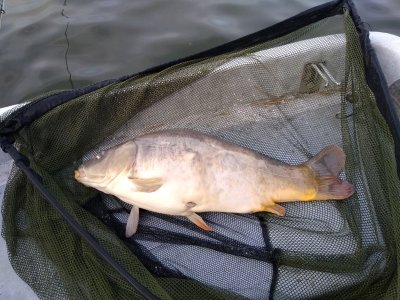 IMG_20220904_184142652.jpg IMG_20220904_184142652.jpg