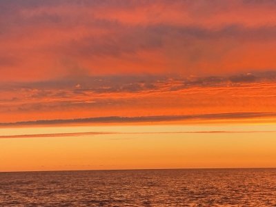 CC469196-C0CF-41B1-AE68-32AFD1AEA125.jpeg
