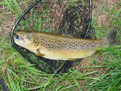 DSCN3518.JPG DSCN3518.JPG