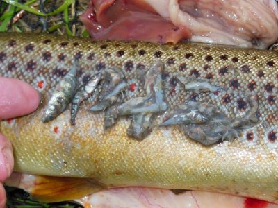 DSCN3526.JPG DSCN3526.JPG