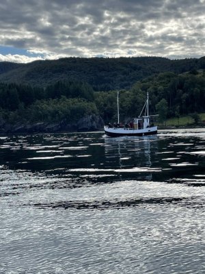 3B44A5AD-B878-4654-B053-17500182915B.jpeg 3B44A5AD-B878-4654-B053-17500182915B.jpeg