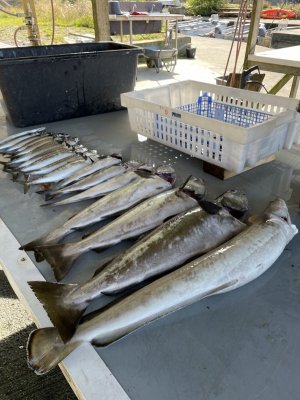 BCF6B0D7-EC1B-4838-95EF-35C4582A99A6.jpeg BCF6B0D7-EC1B-4838-95EF-35C4582A99A6.jpeg