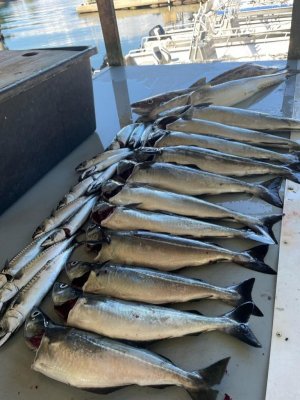 82C7EE6E-A4B0-40CF-A7F0-C60036D47094.jpeg 82C7EE6E-A4B0-40CF-A7F0-C60036D47094.jpeg